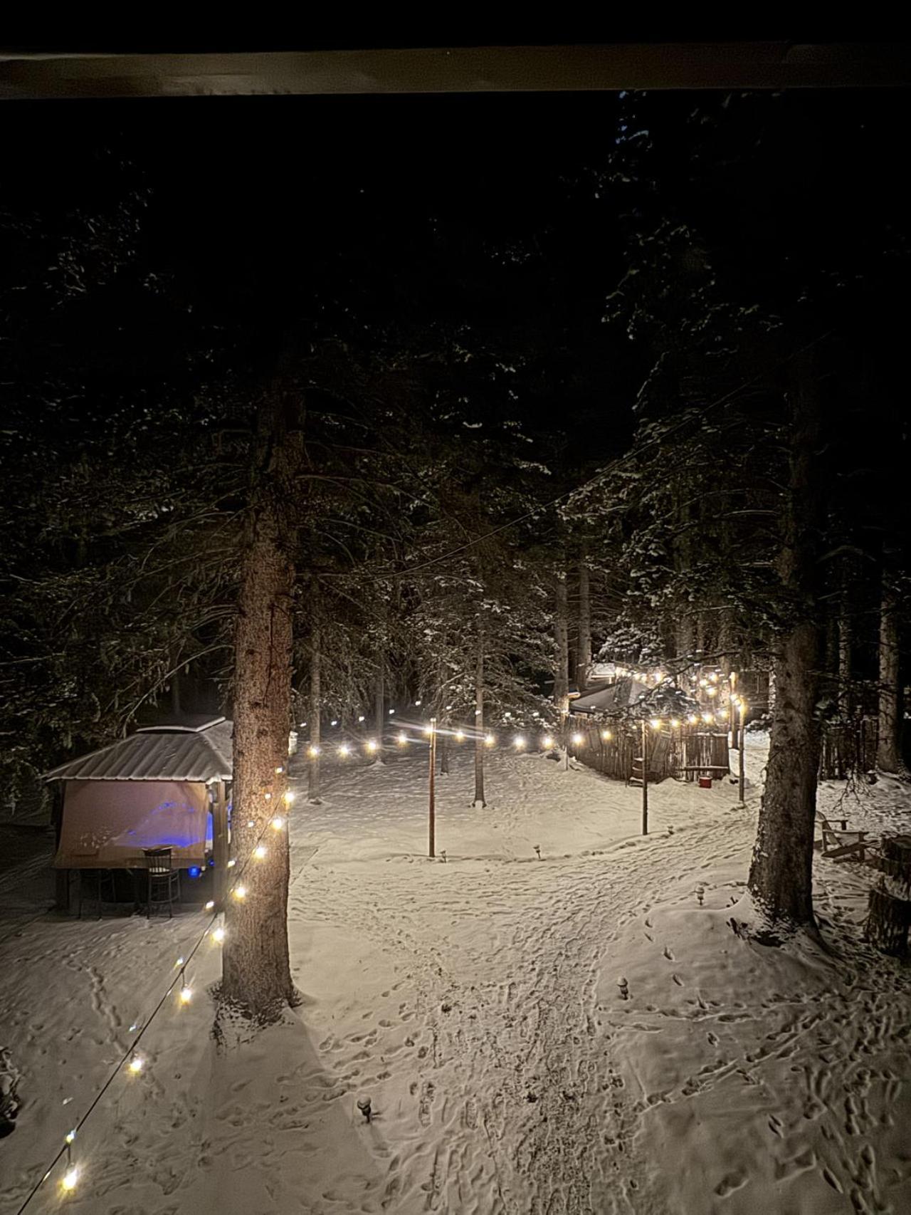 Rustic Cozy Cabin With Hot Tub Bragg Creek Exteriör bild
