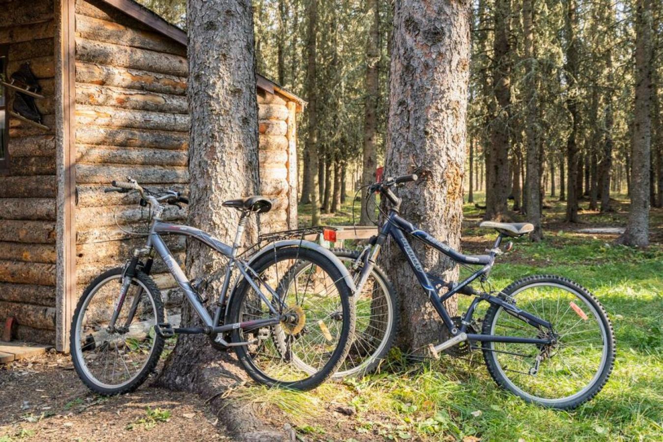 Rustic Cozy Cabin With Hot Tub Bragg Creek Exteriör bild